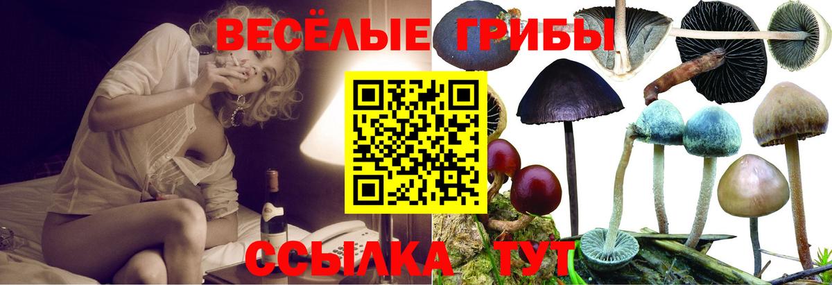 Псилоцибиновые грибы GOLDEN TEACHER Ликино-Дулёво
